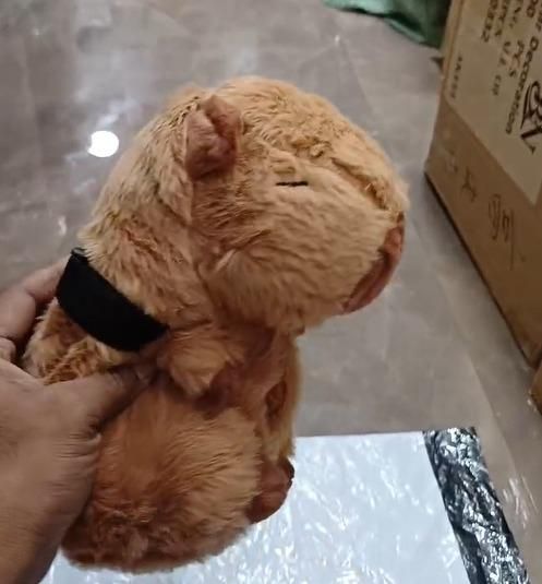 Capybara Tissue Holder